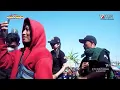 Download Lagu Mahal - Gerry Mahesa | New Pallapa TPI Mojo Pemalang 2022