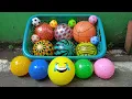 Download Lagu Mencari Bola Semangka, Bola Basket, Bola Sepak, Bola Karakter, Bola Besar dan Bola Kecil Warna Warni