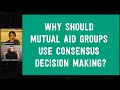 Dean Spade Why Should Mutual Aid Groups Use Consensus Decision Making