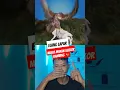 Download Lagu Elang Menyerang Kambing di Tebing — Aksi Alam Liar yang Tak Terduga!😱 #shorts