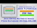 Java Swing Retrieve Image From Database MySQL as BLOB - StudyViral