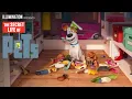 Video di The Secret Life Of Pets – The Big Game Spot (HD) – Illumination