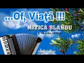 Download Lagu MUZICA DE PETRECERE - ZORILE \u0026 Mitica Blandu - Fara noroc si urat, Scap de o dau de alta