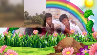                      دندنها