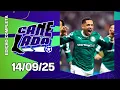 Download Lagu CANELADA AO VIVO! - 14/09/25