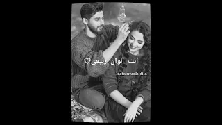 اغنيه كرديه مترجمه مدللتي وردتي انت الوان ربيعي 