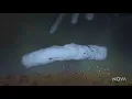 NOVA - Copper Explodes A Microbe