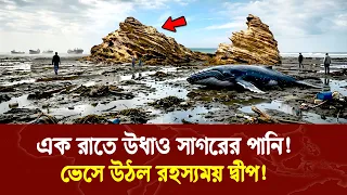 আর্জেন্টিনায় এক রাতে উধাও সাগরের পানি! ভেসে উঠল রহস্যময় দ্বীপ!