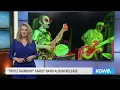 'Triple Rainbow', a family band in Portland, releases first album
