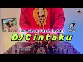 Download Lagu DJ CINTAKU DALAM SEPI KU KAULAH CANDAKU VIRAL TIKTOK TERBARU 2022