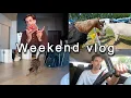 Download Lagu Saison des allergies, mini épicerie haul et après-midi productive!