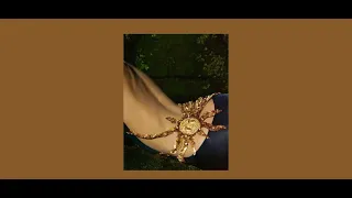 belly dancer playlist