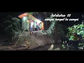 Download Lagu Camping di hutan atas batu besar pinggir sungai // ternyata sarang beragam ular berbisa dan besar