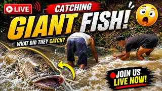 Fishing Season | Catching Fish During Flood