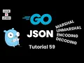 JSON Marshal Unmarshal and in Go with Code Examples