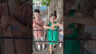 غزل ومحمد  اخذو كاندي               دندنها