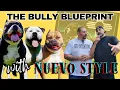 The Breeder Who CHANGED the Game Nuevo Style Bullies Kennel Tour