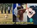 Download Lagu Ini Parah Ni, Tenang Tenang !! Random Video Lucu Viral Di Tiktok ▶️ 9 | Bikin Mulut Mencret Mencret