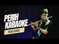 Download Lagu PERIH ELVY KARAOKE NADA COWOK PRIA