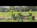 New York City program increases tree climbers and pruners