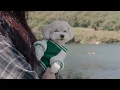 🏝️Truck Camping by a Secret Lake With My Dog. Art Trip & Painting Nature. Wood Stove ASMR.