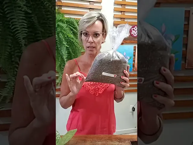 ORQUÍDEA SAPATINHO PLANTE CERTO! NO SUBSTRATO CERTO! RECEITA AQUI