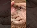 Download Lagu Get Rid Of Extremely Dry Cracked Hands| Hand Moisturizer For Soft \u0026 Supple Hands | #shorts #viral
