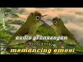 Download Lagu full audio gronsengan untuk melatih mental dan emosi kecial lomba anda