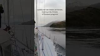 Timelapse of the ‘Shag’ #timelapse