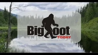 Watch Bigfoot Today Episode 11 - with Daniel Benoit of East Coast Bigfoot Research Organization