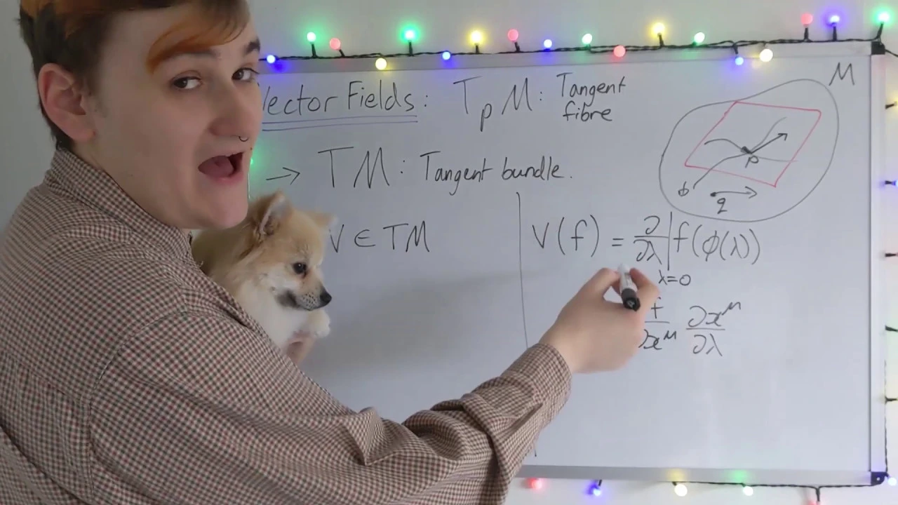 Manifolds #8 - Vector Fields (Schematic)