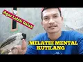 Download Lagu Perawatan Burung Kutilang Agar Agresif Dan Pemberani  ‼️Begini Cara Melatih nya