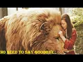 Download Lagu No Need To Say Goodbye Narnia - A Tribute To Aslan