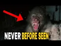 Impossible Creature Sightings Are Getting Closer to Homes