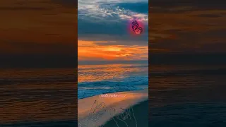 اصاله مشيت سنين اصاله حب Love رومانسية 