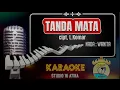 Download Lagu TANDA MATA (karaoke) nada wanita - cipt,L.Komar - lagu lampung no vokal