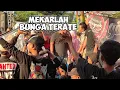 Download Lagu MEKARLAH BUNGA TERATE || ROGO SAMBOYO PUTRO LIVE KABUH JOMBANG