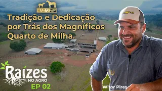 Haras WP: Orgulho Coloradense  na criação de cavalos quarto de milha. - Raízes no Agro (Ep 02)
