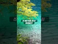 Download Lagu Visit in China's Sichuan Jiuzhaigou - UNESCO World Heritage #travel #explore #nature
