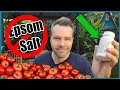 TRANSFORM Your TOMATOES With THIS Household Ingredient