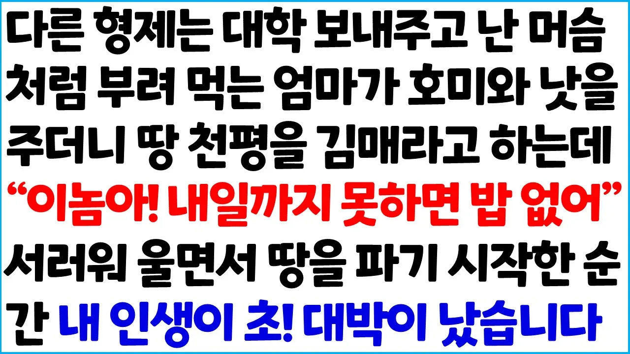Outline Video [반전사이다사연] 다른 형제는 대학 보내주고 난 머슴처럼 부려먹는 엄마가 호미와 낫을 주더니 땅 천평을 김매라고 하는데 " 이놈아! 내일까지 ~ /라디오드라마/사연라디오/신청사연