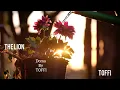 Download Lagu Toffi_Doma (Official audio)pm3