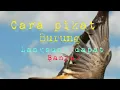 Download Lagu pikat burung CAK KOPI!!! langsung dapat BANYAK