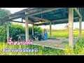 Download Lagu ทิ้งไว้เป็นเดือนซ้ำหมายเก่าก่อนพายุเข้า เหยื่อเขียดไม่มีผิดหวัง / ตุ้มแพรว พาเพลิน EP.858