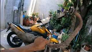 Esse Escape Estava Precisando De Um Trato! π₯²