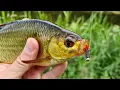 Red tag nymph making fishing spinning rod