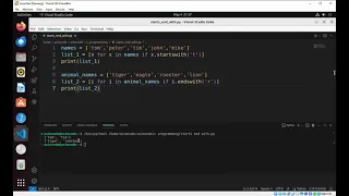 How to use Startswith and Endswith Methods in Python