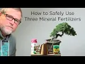 Bonsaify How to Safely Use Mineral Fertilizers with Bonsai Trees