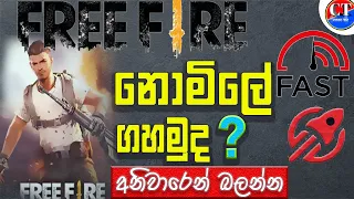 Download How to play Free Fire without Data sinhala | Free Fire free Play sinhala | Free Fire Offline play MP3