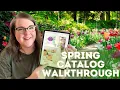 Scentsy 2025 Catalog Walkthrough Warmers